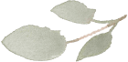 Leaf Decoration